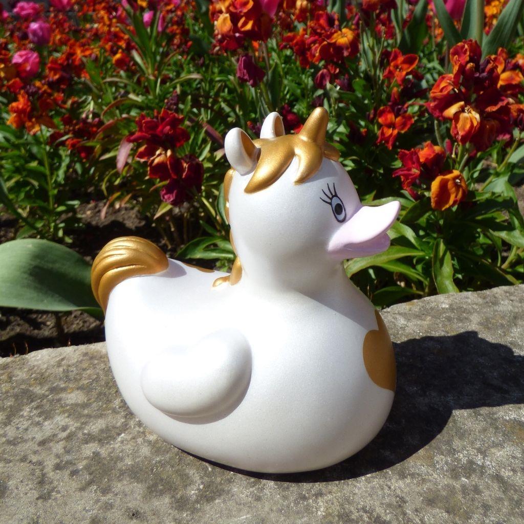 Canard Licorne