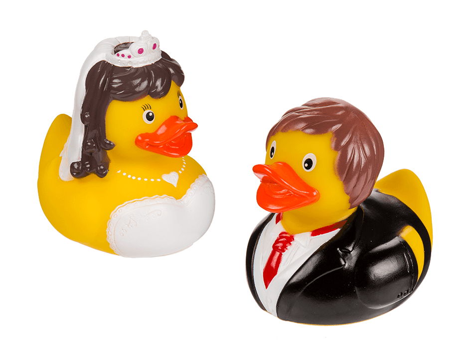 Married couple duck