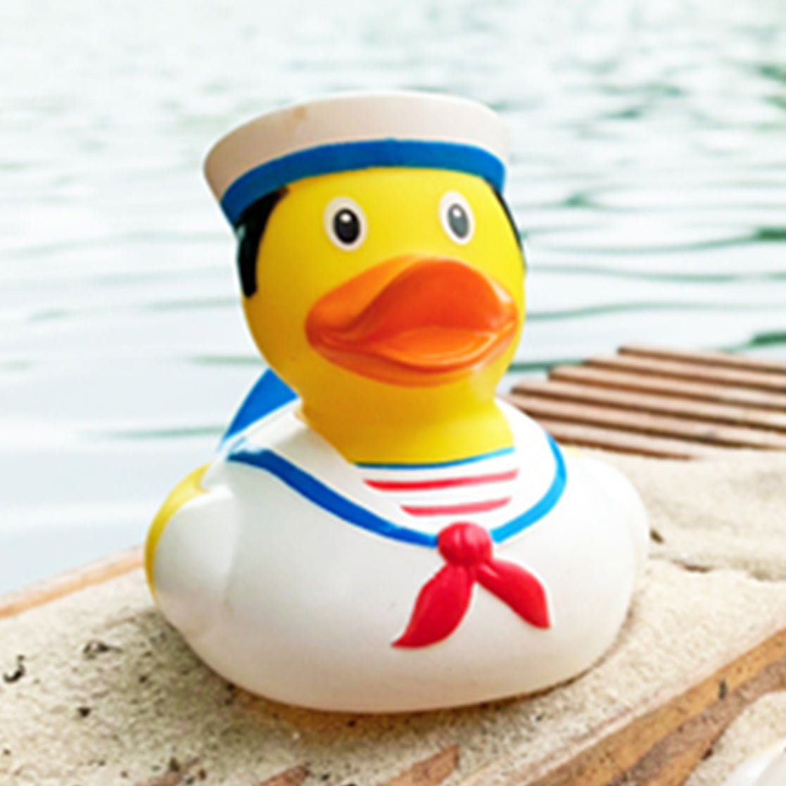 Sailor duck