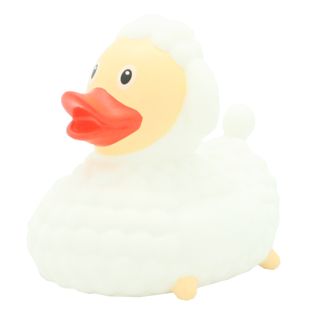 Sheep duck