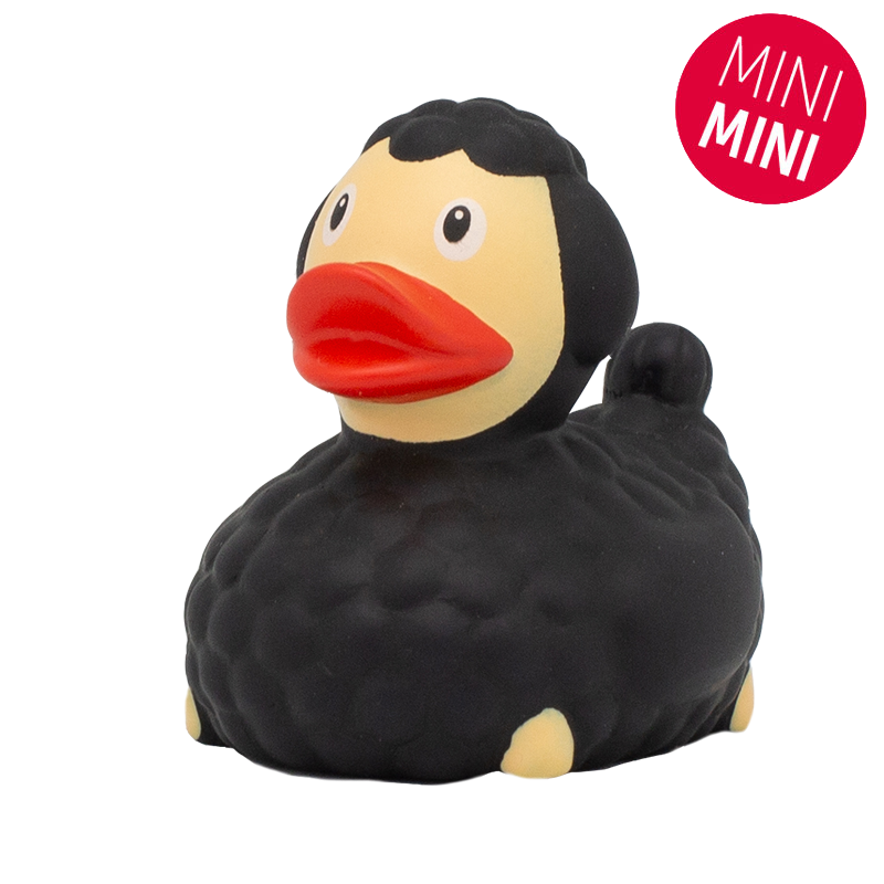 Mini black sheep duck