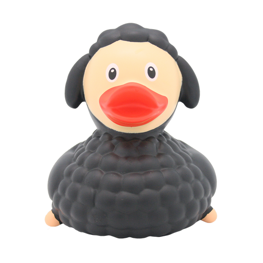 Canard Mouton Noir