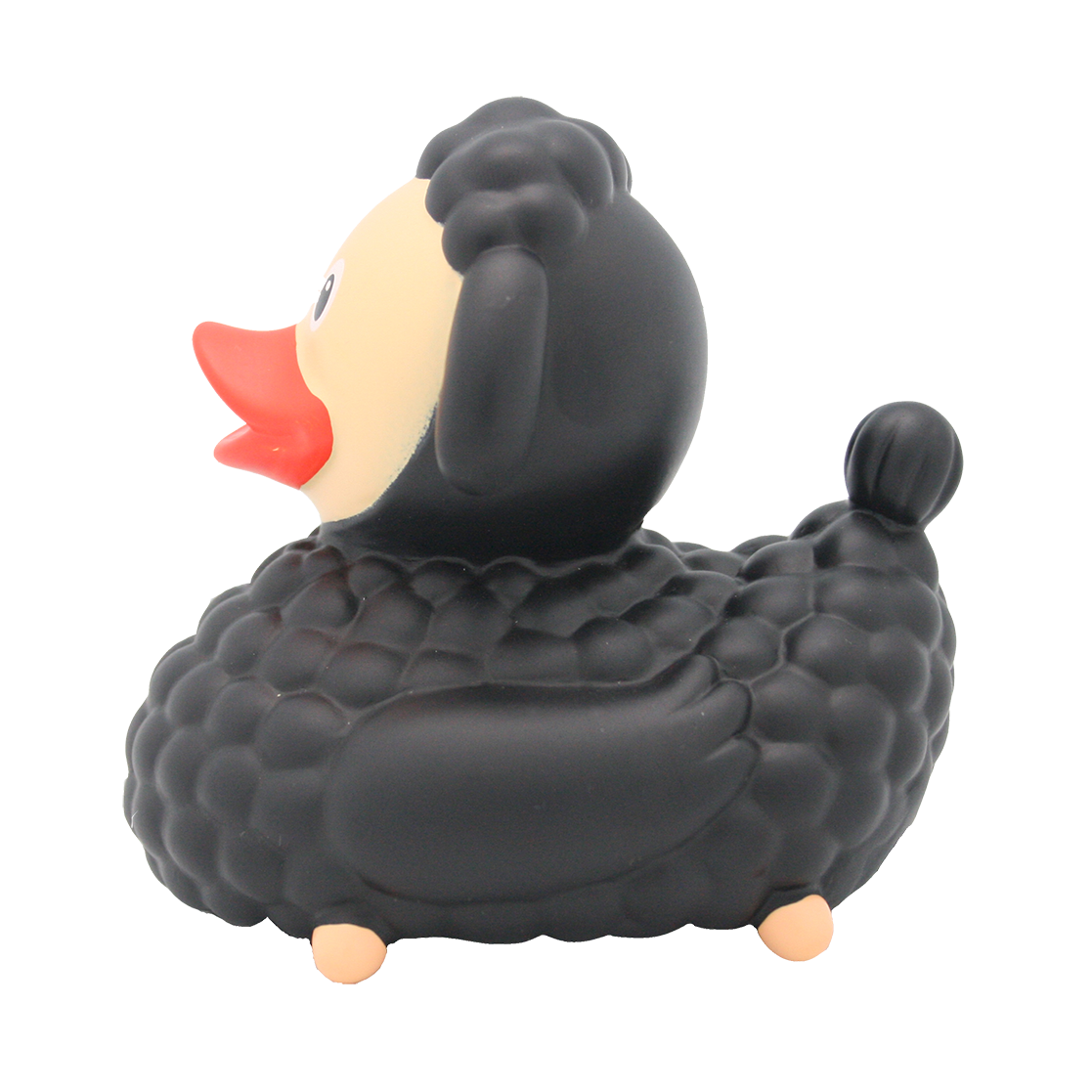 Black sheep duck