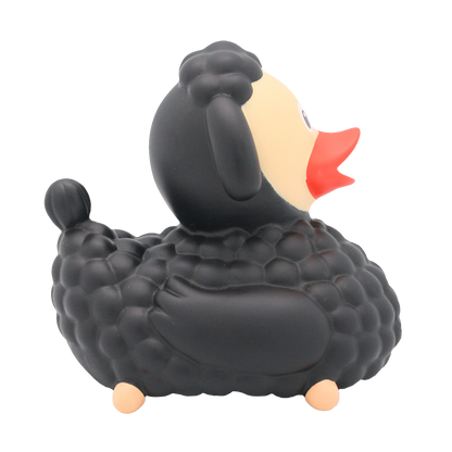 Black sheep duck