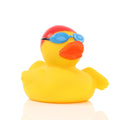 Ente Nageur
