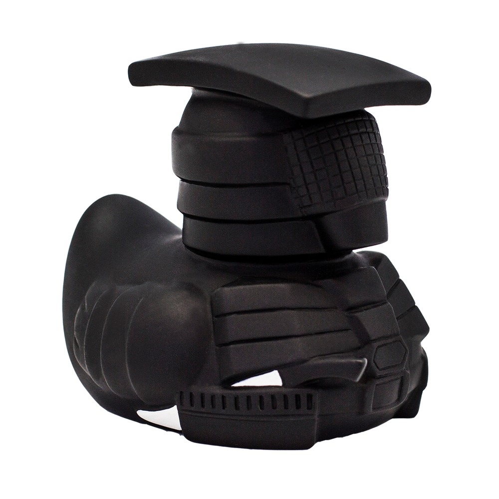 Canard Ninja Warden
