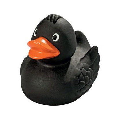 Black duck