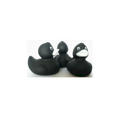 Original black duck