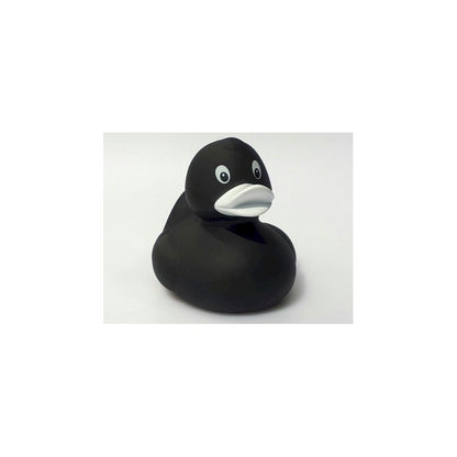 Original black duck