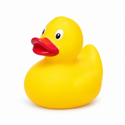 Canard classique noir et jaune – vue 40