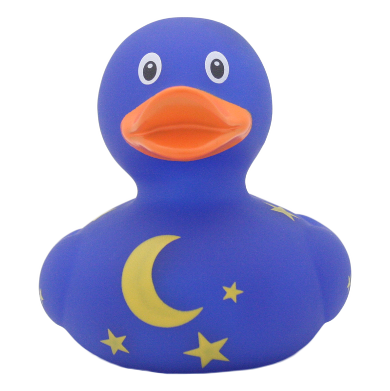 Anatra della notte stellata