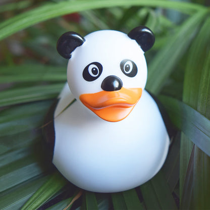 Canard Panda