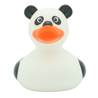 Canard Panda