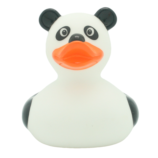 Duck panda