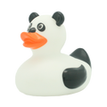 Duck panda