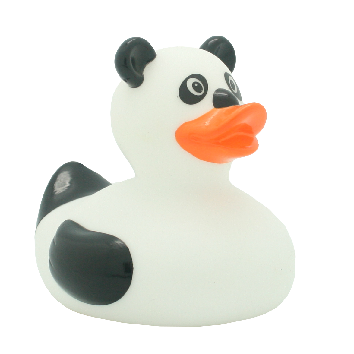 Canard Panda