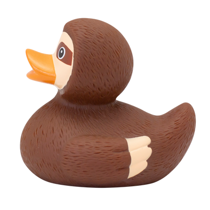 Canard Paresseux
