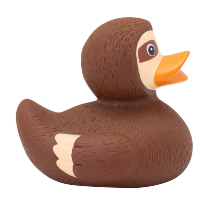 Canard Paresseux