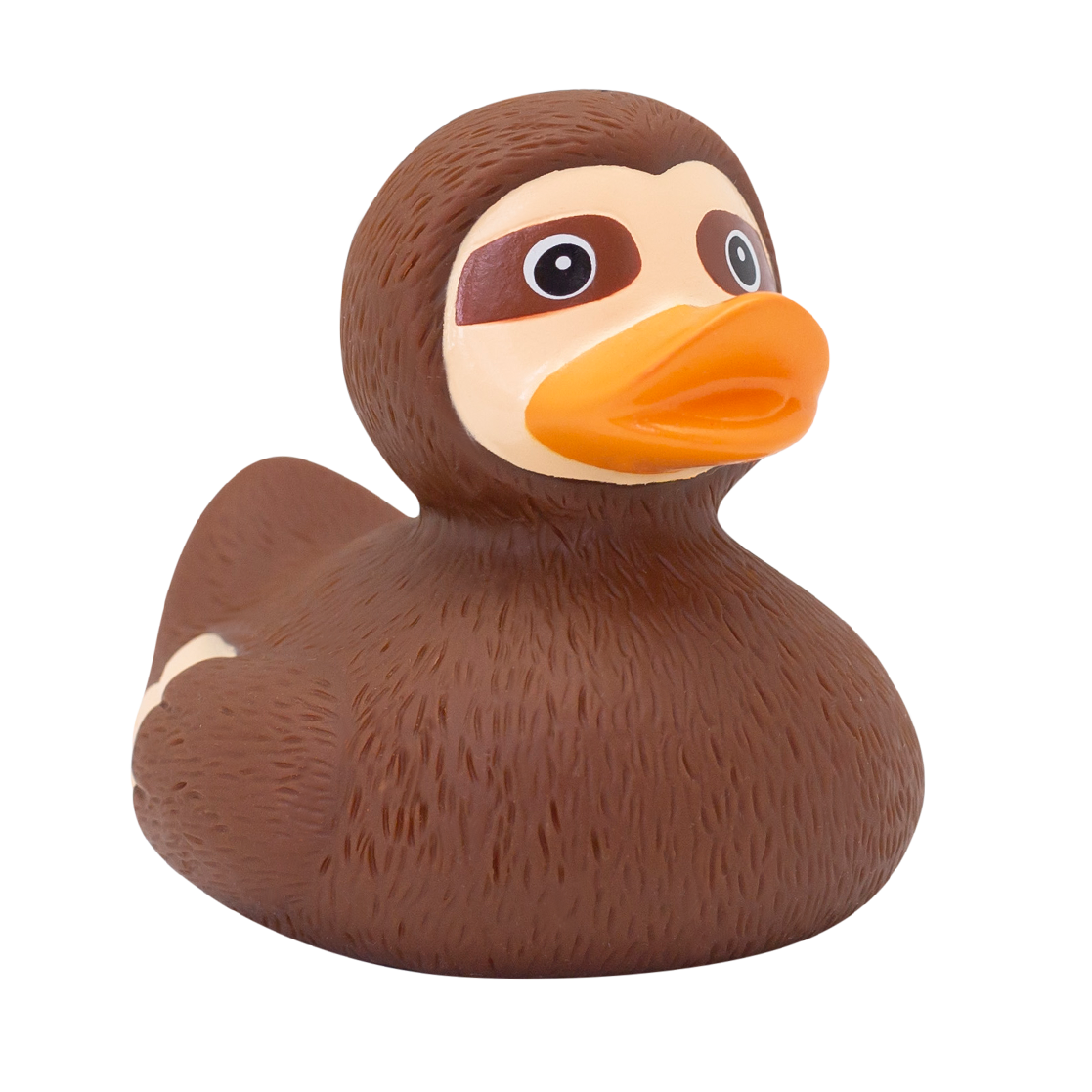 Canard Paresseux