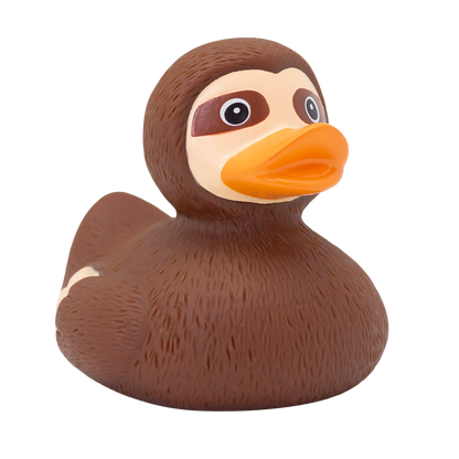 Canard Paresseux
