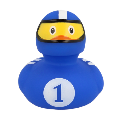 Blue racing pilot duck