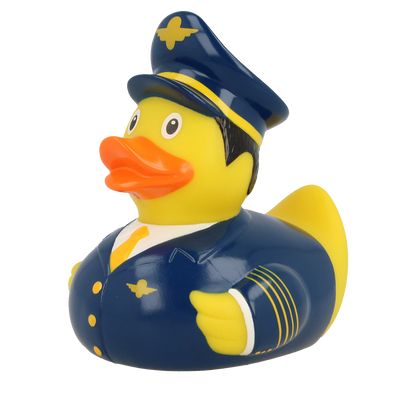 Canard Pilote de Ligne