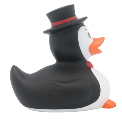 Penguin duck