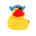 Pirate duck