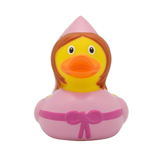 Fairy fairytale duck