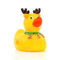Anatra renna di Natale