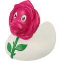 Anatra Rosa
