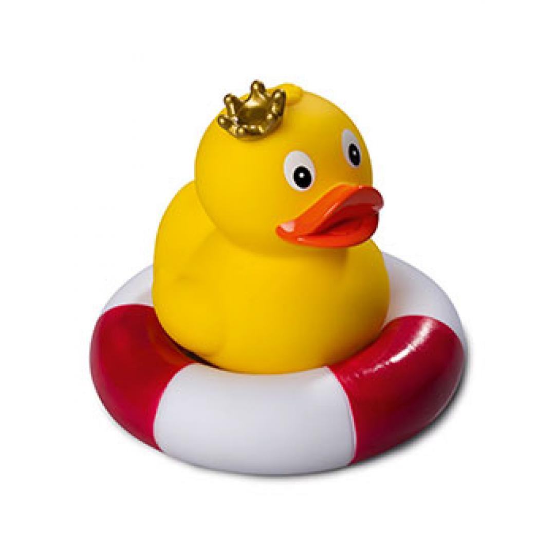 Canard Royal Debout