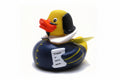 Canard Shakespeare