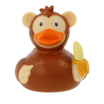 Canard Singe