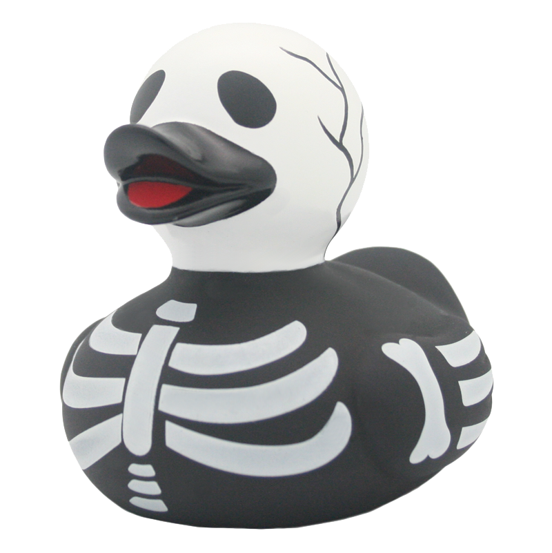 Duck skeleton