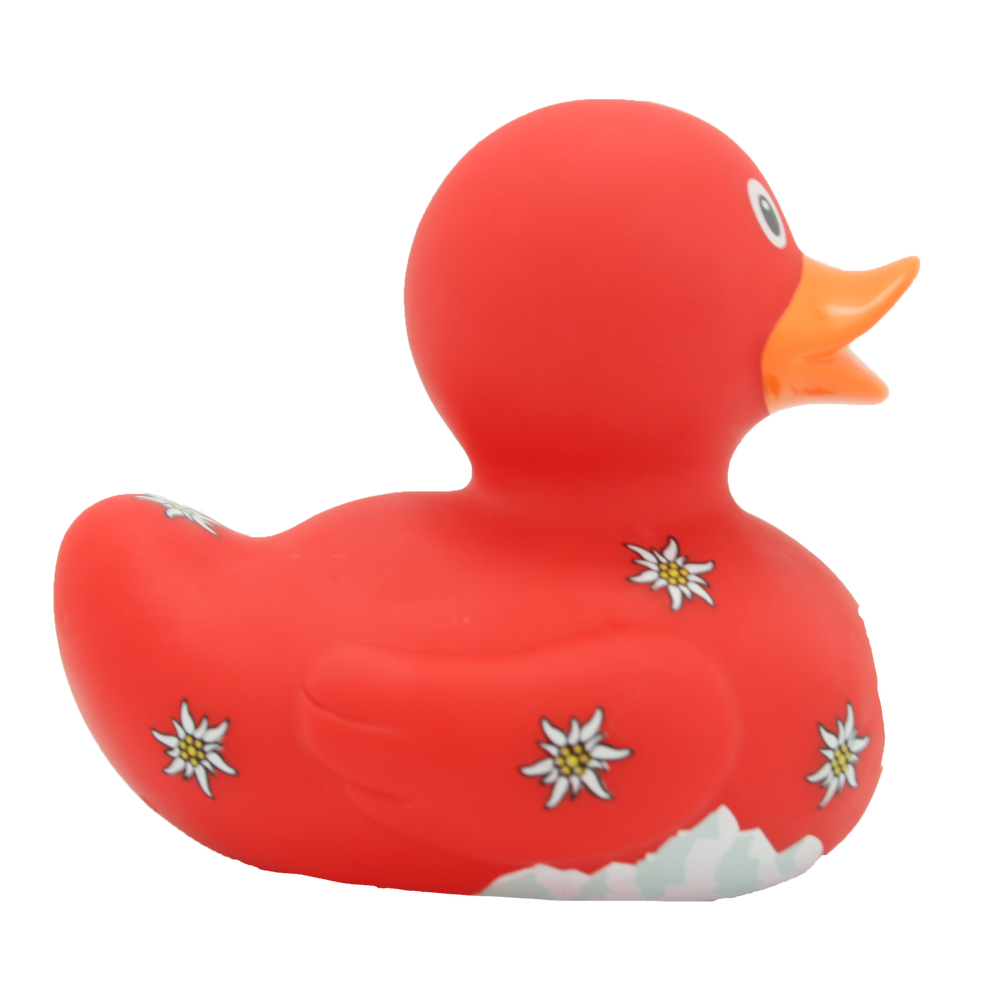 Papera Svizzero