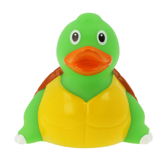 Canard Tortue