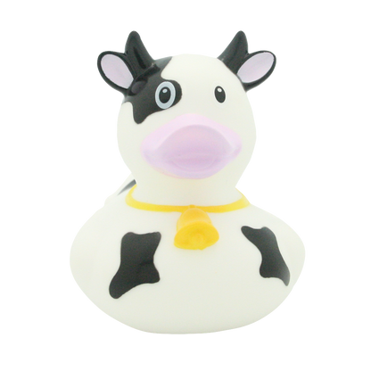 Dairy cow