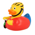 Ente Radfahrer
