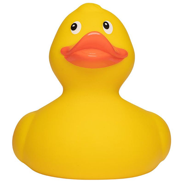 Canard de course L MBW