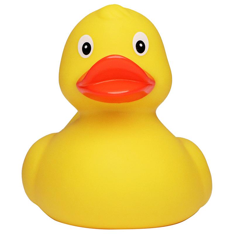 Canard de course M MBW