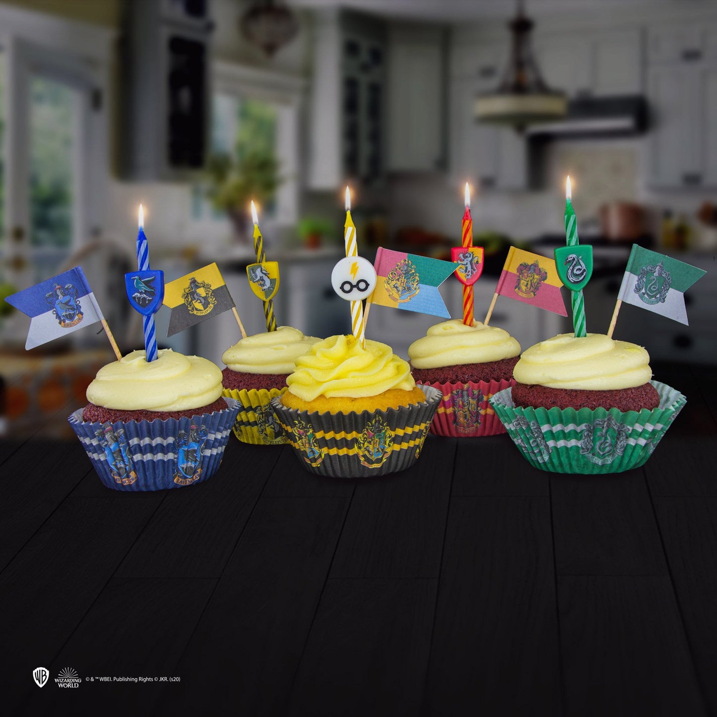 Set of 10 Harry Potter Houses Birthday Candles