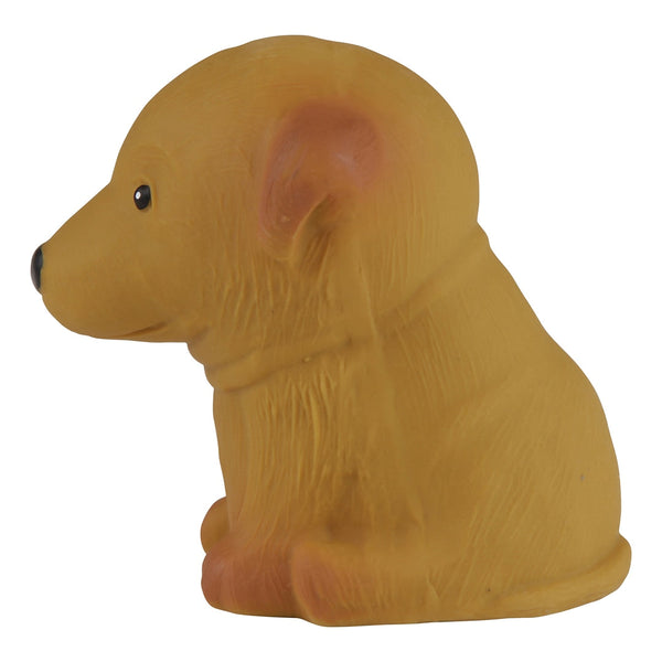 Puppy Parade Caniche