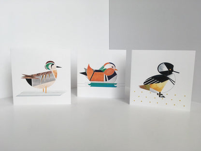 Crowned Harle Duck Greeting Card