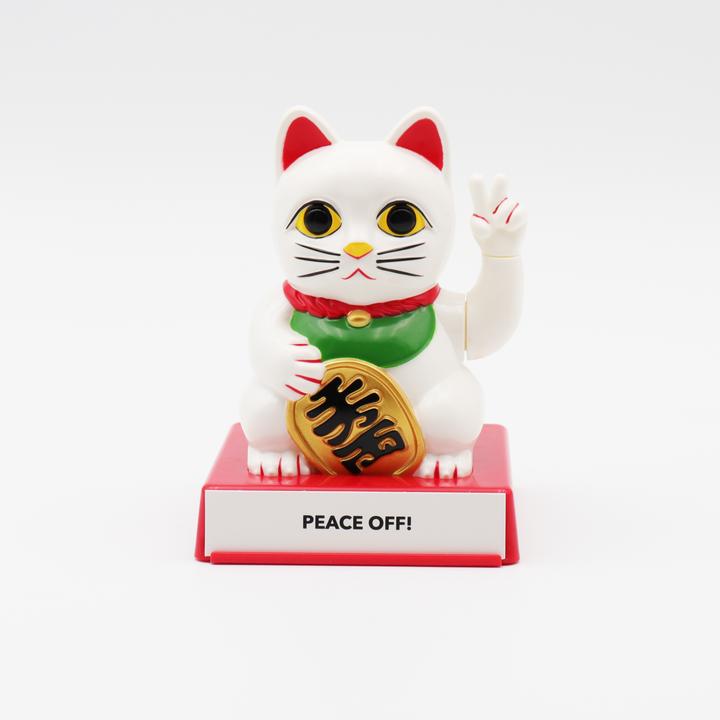 Lucky cat cattidus