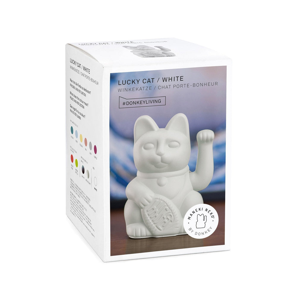 Gatto bianco fortunato