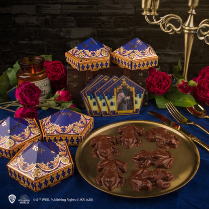 Chocolate Frog Mould + 12 magical cards + 6 Chocolate Frog boxes (new edition)