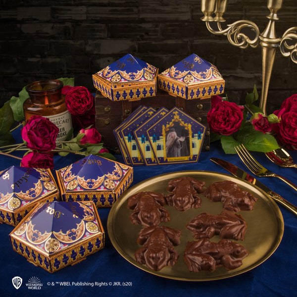 Moule à Chocogrenouilles + 12 cartes magiques + 6 boîtes Chocogrenouille (nouvelle édition)