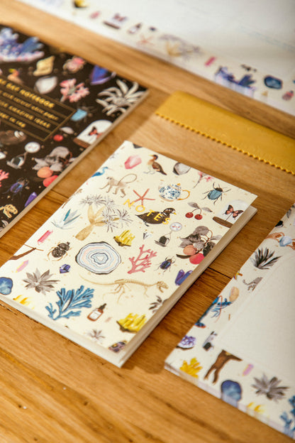 Curiosity - A6 Pocket Notebook Duo