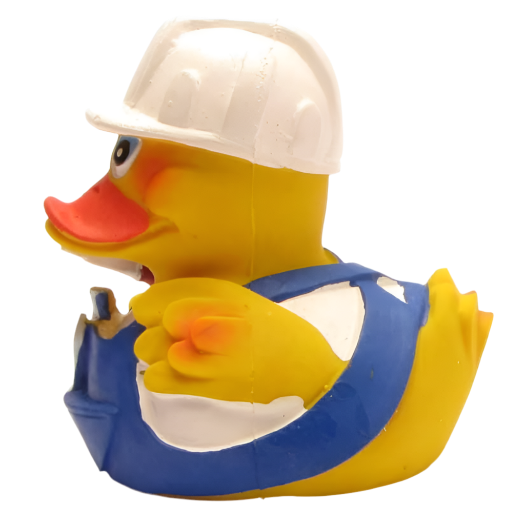 canard bricoleur lanco